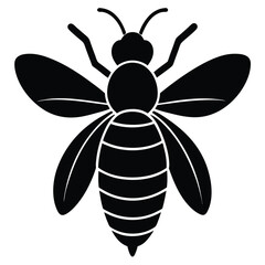 vector illustration of a bee