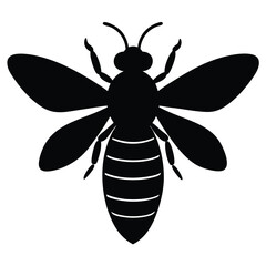 vector illustration of a bee
