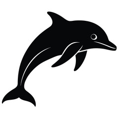 Obraz premium dolphin isolated on white background