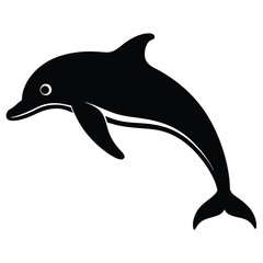 dolphin isolated on white background