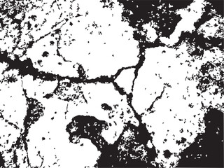 Abstract Black and White Cracked Texture Silhouette striking black white silhouette image showcasing cracked texture pattern The distinctive