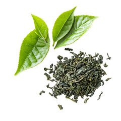 Fresh green tea leaf and dry