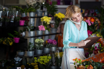 Flower shop interior displaying buckets of colorful cut blooms and potted plants on metal shelves