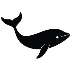 vector illustration of a shark