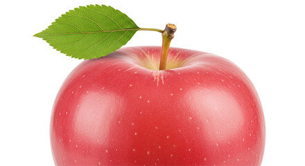 Isolated Red Apple