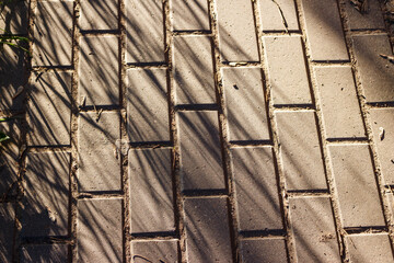 Pedestrian sidewalk paved with tiles close-up