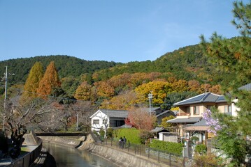秋の里山と川沿いの日本の住宅街風景  © Naoto Iwashita