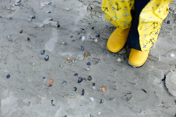 Child in yellow boots walking on a beach covered with seashells and wet sand.