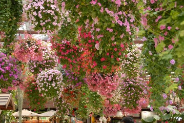 鮮やかに彩られた空中に咲く花々
