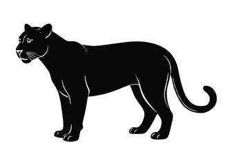 vector illustration of a tiger