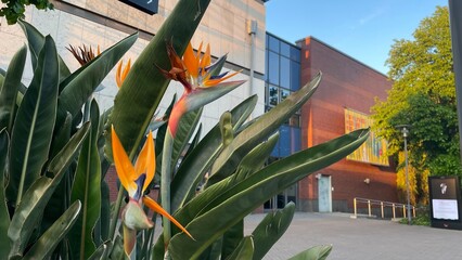 building in the park