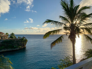 Dreamy Caribbean sunset with pastel skies and a palm tree on the coast of Cura&ccedil;ao