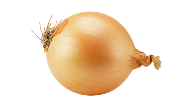 Isolated Onion