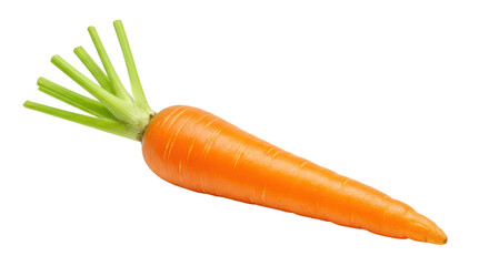 Isolated Fresh Carrot