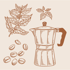 Set of vintage coffee illustrations hand-drawn in ink. Original drawings of coffee, a coffee plant, and coffee beans