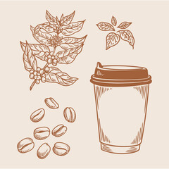 Set of vintage coffee illustrations hand-drawn in ink. Original drawings of coffee, a coffee plant, and coffee beans