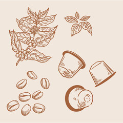 Set of vintage coffee illustrations hand-drawn in ink. Original drawings of coffee, a coffee plant, and coffee beans