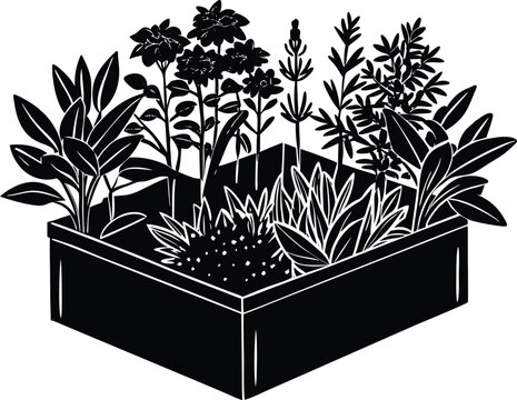 black and white garden plants in a box clip art preview