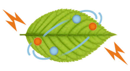 Isolated Leaf with Abstract Energy Flow