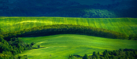 green field in Sping