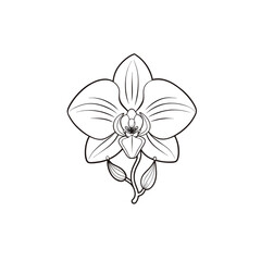 Orchid blossom flower