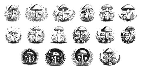 Highly Detailed Hand Drawn Vintage Mushroom and Fungi Illustration Collection with Forest Elements for Nature and Fantasy Designs