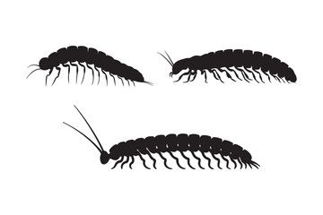 Millipede Insect Silhouette Clipart Black Creepy Crawly Vector Illustration