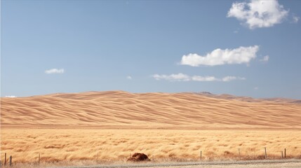 Fototapeta premium Expansive Golden Prairie Under a Clear Blue Sky With Gentle Winds Sweeping Across the Grass