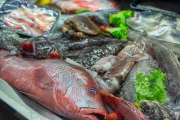 Fish and seafood in a fish shop window