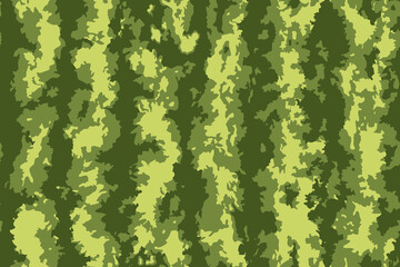 Watermelon seamless pattern. Light and dark green stripes of watermelon texture. Vector illustration