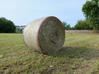 hay bales in lawn