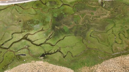 Green landscape road. High quality photo