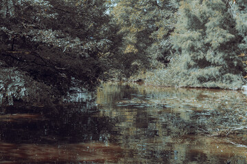 small pond with pastel colors