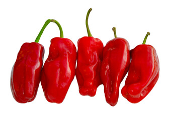 pimentos picantes