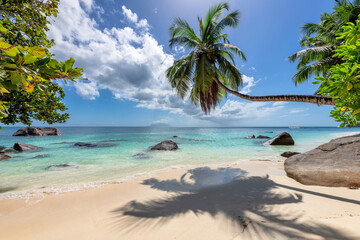 Tropical Beach. Sandy beach with palm and turquoise sea. Summer vacation and tropical beach concept.