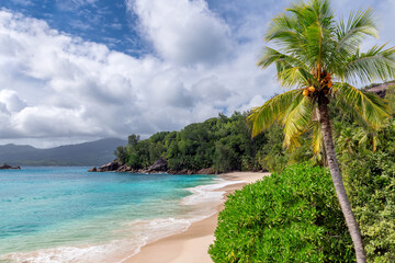 Tropical sunny beach with coco palms and the turquoise sea in Caribbean island.