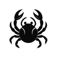 vector crab on white background