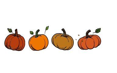 pumpkin on a white background. Autumn pumpkins. A row of pumpkins in various autumnal colors. Perfect for fall-themed designs and seasonal projects.
