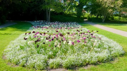 Summer garden, landscape. Beautiful park, flowers and trees view, green lawn, grass. Famous historical place. For posters, interior decoration, calendars, prints designs. Landscaped flower garden  - Powered by Adobe