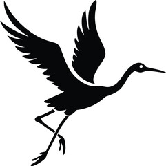 a black and white bird flying in the air  the bird