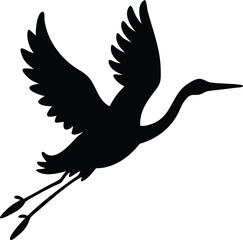 a black and white bird flying in the air  the bird