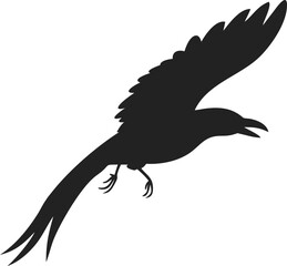 a black bird with a long beak flying in the air