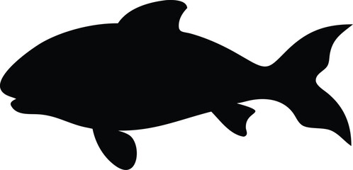 carp fish silhouette