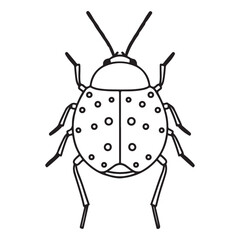 vector illustration of a beetle