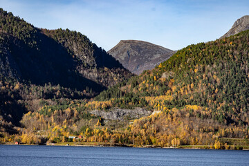 autumn landscape with lake