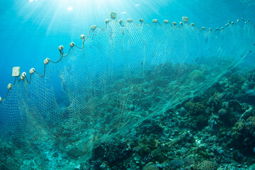 A long fishing net is draped over a coral reef in the Pantar Strait, near the island of Alor, Indonesia. Fishing has reduced the fish populations in many areas of the Coral Triangle.
