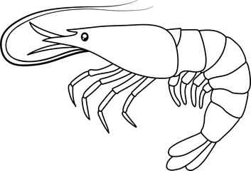 Shrimp coloring page illustration
