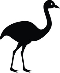Obraz premium minimal ostrich bird vector silhouette