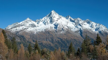 Fototapeta premium Snowy mountain peaks rise above a valley of autumnal trees.