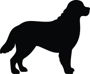 bernese mountain dog silhouette